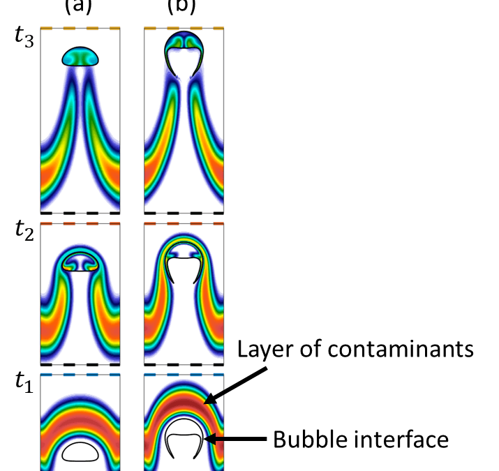 Recent PROTECT Study uses Computational Modeling of Bubbles to improve electrochemical removal of chemical pollutants in water